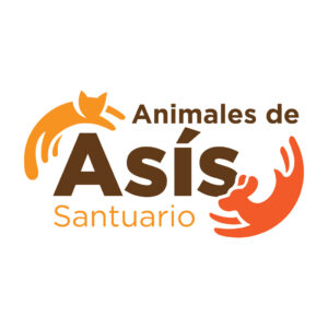 Animales de Asís